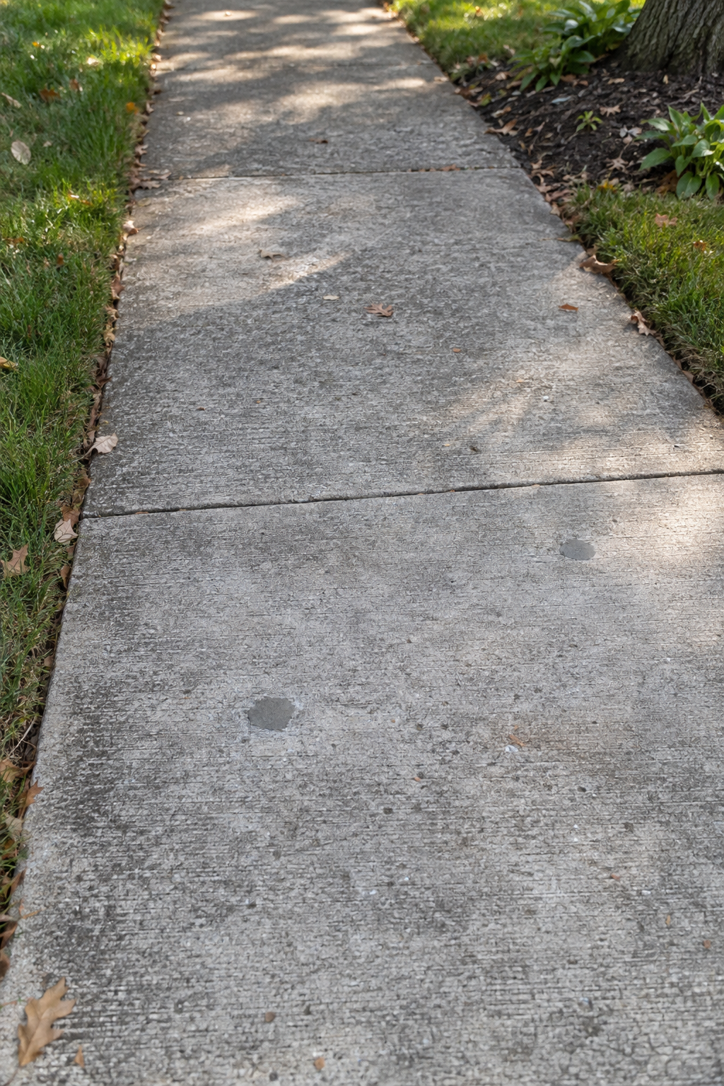 Sidewalk panel after concrete leveling, flush with its neighbor and its drill holes patched with gray grout